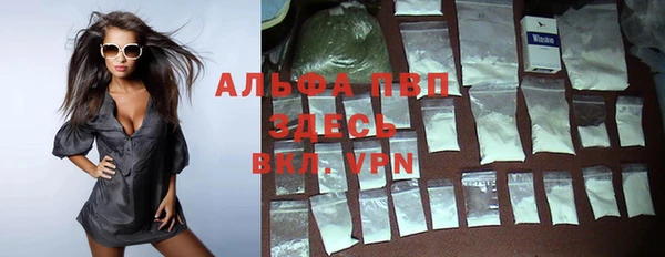 a pvp Бородино