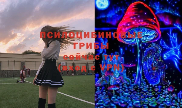 a pvp Бородино