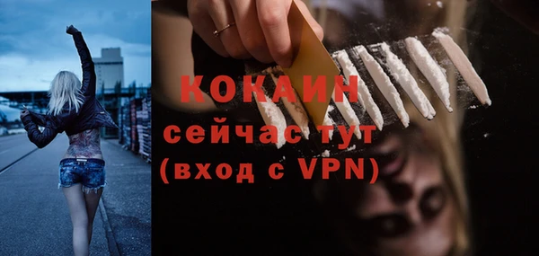 бошки Бронницы