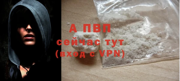 a pvp Бородино