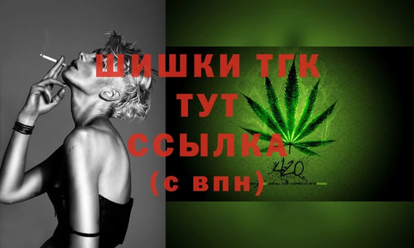 a pvp Бородино