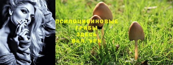 бошки Бронницы