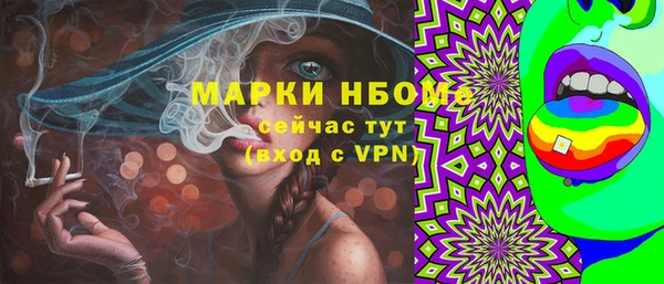 a pvp Бородино