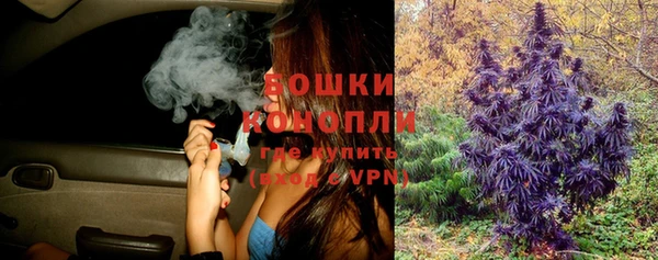 бошки Бронницы