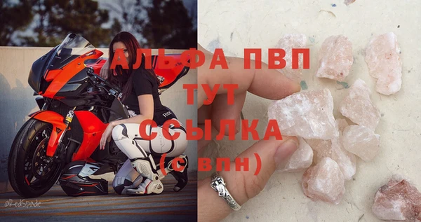a pvp Бородино