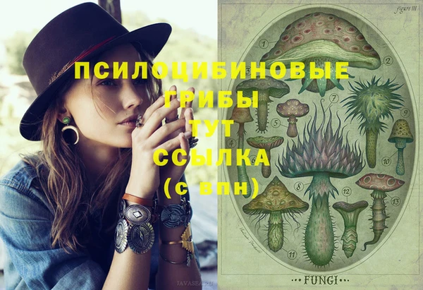 кокс Осинники