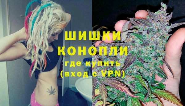 a pvp Бородино