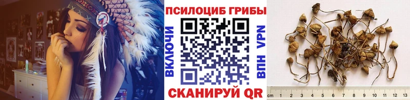 Псилоцибиновые грибы мицелий  гидра ССЫЛКА  Палласовка 